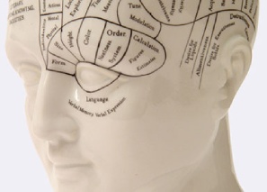phrenology head depicting CBT in London